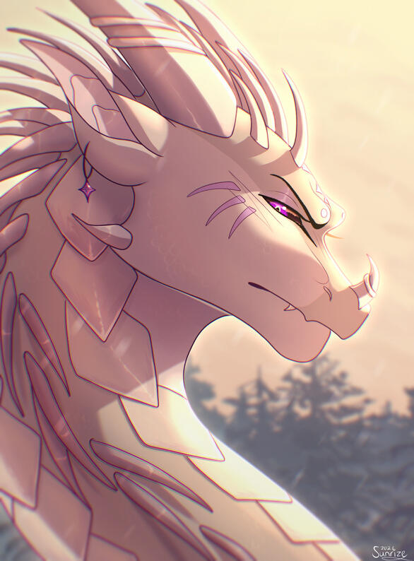 Shaded Shaded